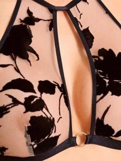 Aubade Boîte à Désir Belle De Nui Set -MARIE JO Shop braforme aubade boiteadesir p080u cl