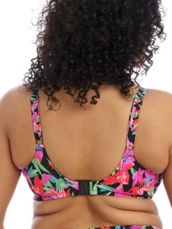 ELOMI Savaneta Bikini Top - Black -MARIE JO Shop braforme swim elomi 801306 blk back