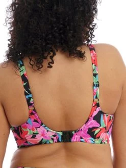 ELOMI Savaneta Plunge Bikini Top - Black -MARIE JO Shop braforme swim elomi savaneta 801302 blk back